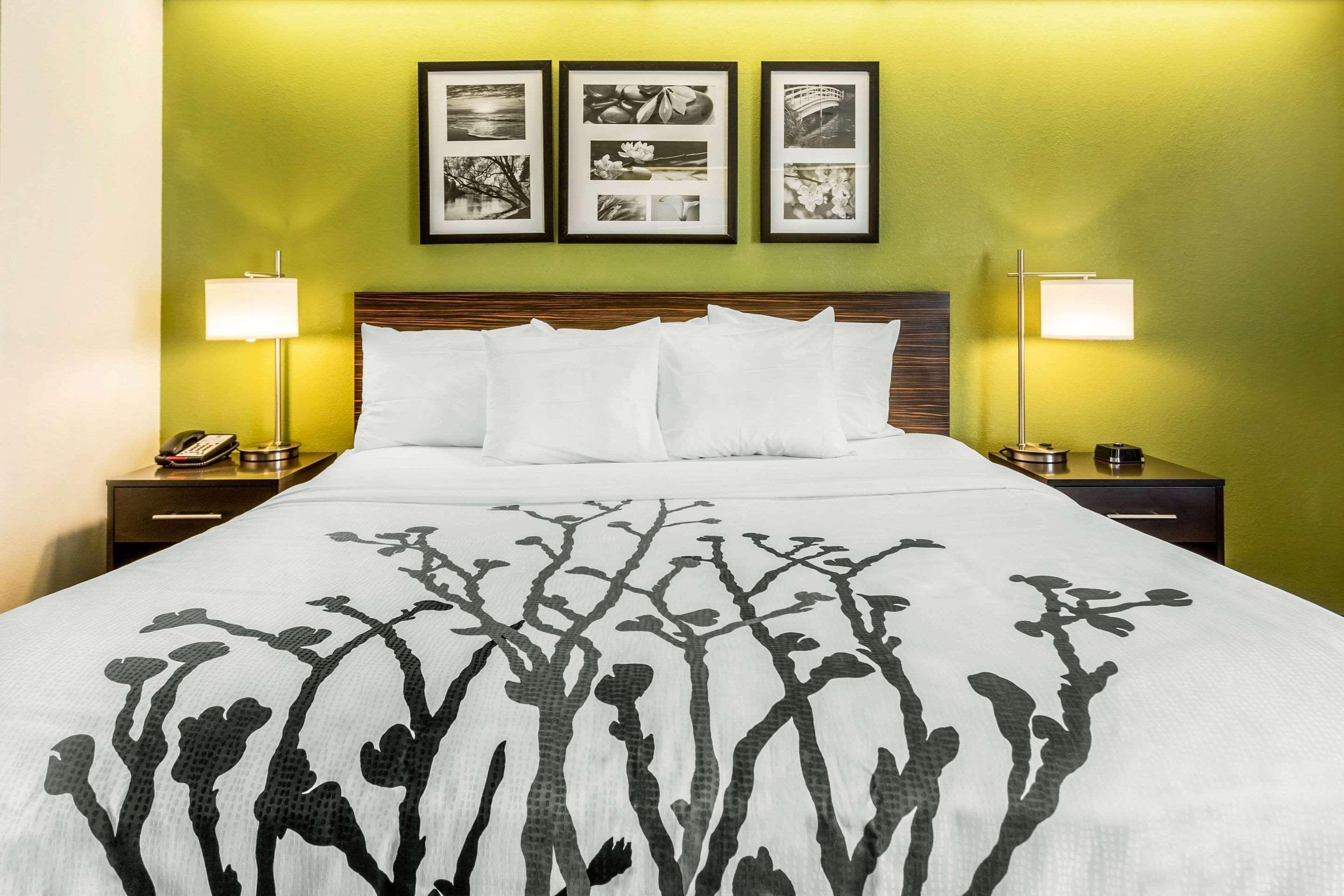 Sleep Inn Charleston - West Ashley Εξωτερικό φωτογραφία